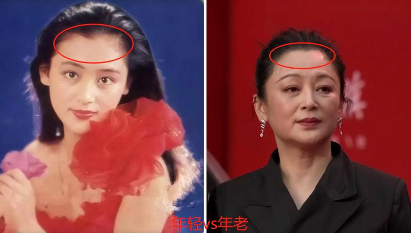 大脸美女气质中年女星_中国中年女明星_脸大如何变美